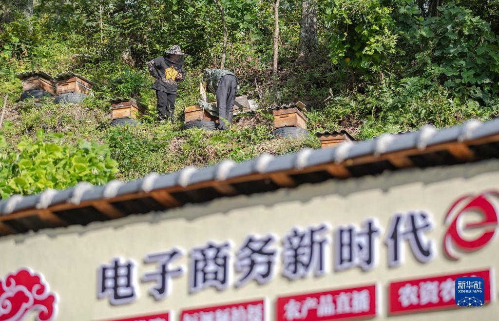 乐博现金首页