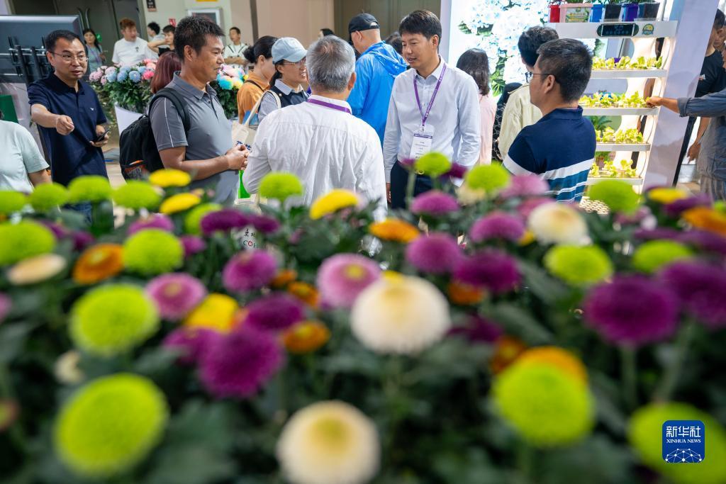 送彩金赢到100可提款